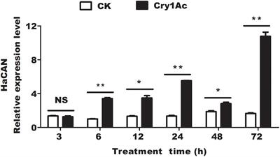 Suppression of Calcineurin Enhances the Toxicity of Cry1Ac to Helicoverpa armigera